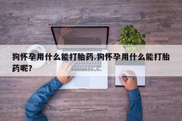 打胎药叫什么名字怎么购买狗怀孕用什么能打胎药.狗怀孕用什么能打胎药呢？