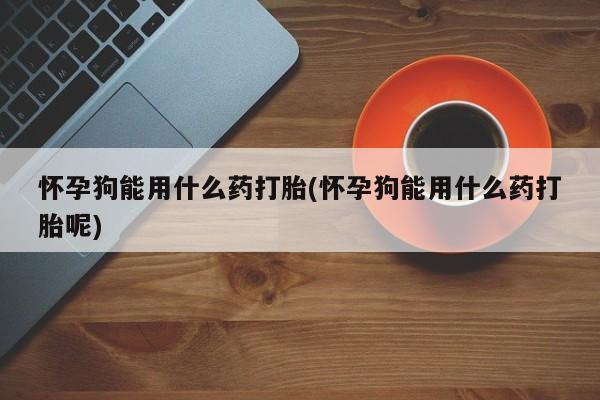 打胎药叫什么名字怎么购买怀孕狗能用什么药打胎(怀孕狗能用什么药打胎呢)