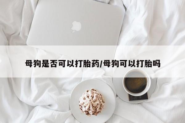 打胎药叫什么名字怎么购买母狗是否可以打胎药/母狗可以打胎吗